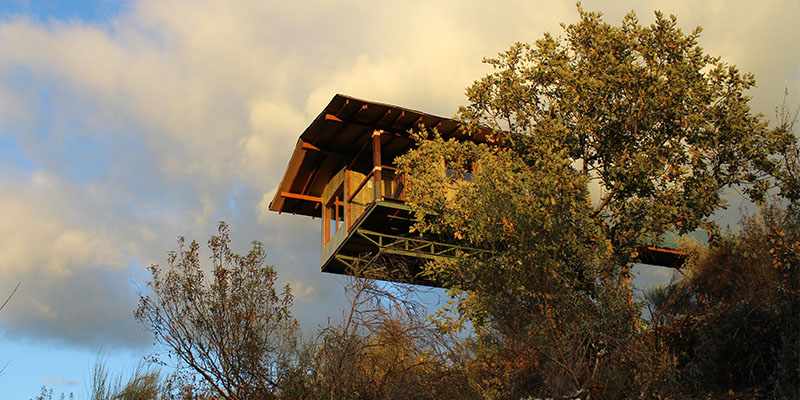 Inclinarse sentido pecho Dormir en los árboles | Cabañas en los árboles de Extremadura