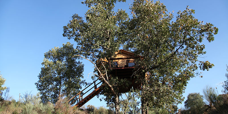 Inclinarse sentido pecho Dormir en los árboles | Cabañas en los árboles de Extremadura