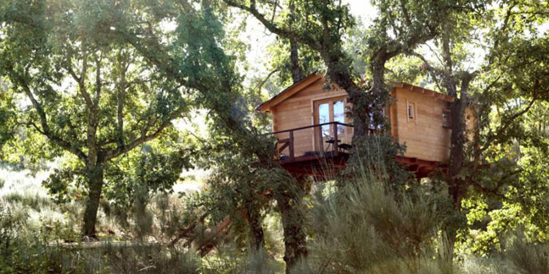 Dormir los árboles Cabañas en los árboles Extremadura